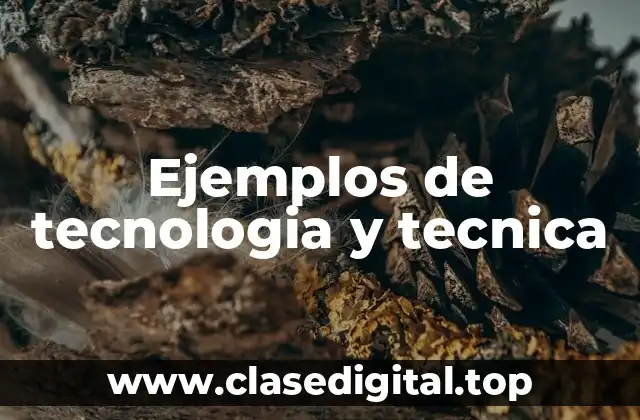 Ejemplos de tecnologia y tecnica