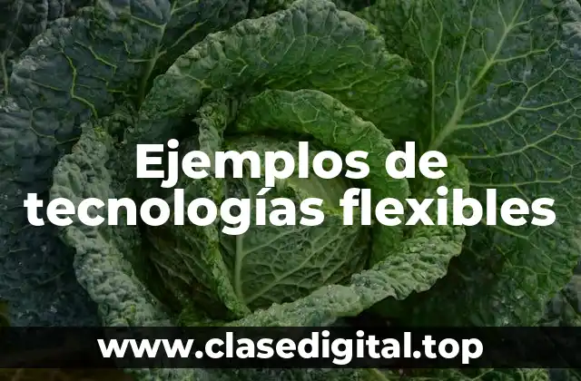 Ejemplos de tecnologías flexibles