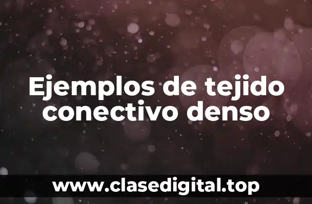 Ejemplos de tejido conectivo denso
