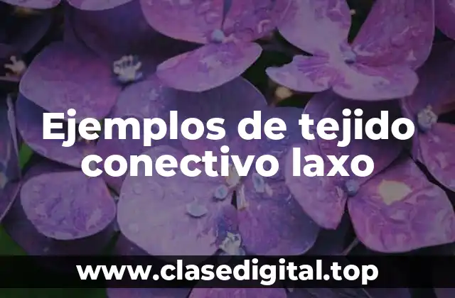 Ejemplos de tejido conectivo laxo