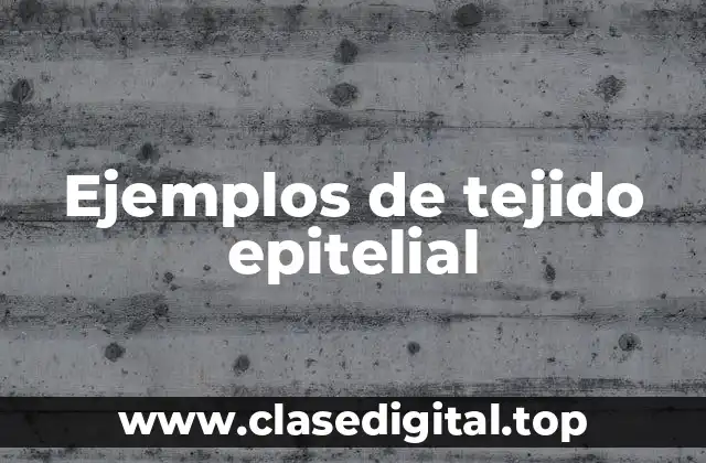 Ejemplos de tejido epitelial