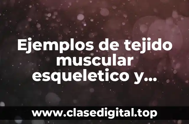 Ejemplos de tejido muscular esqueletico y Significado