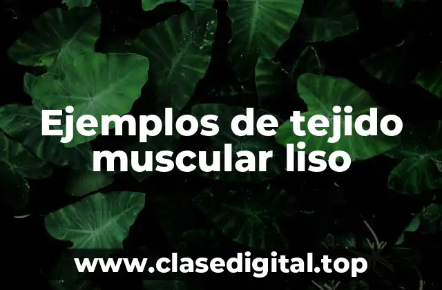 Ejemplos de tejido muscular liso