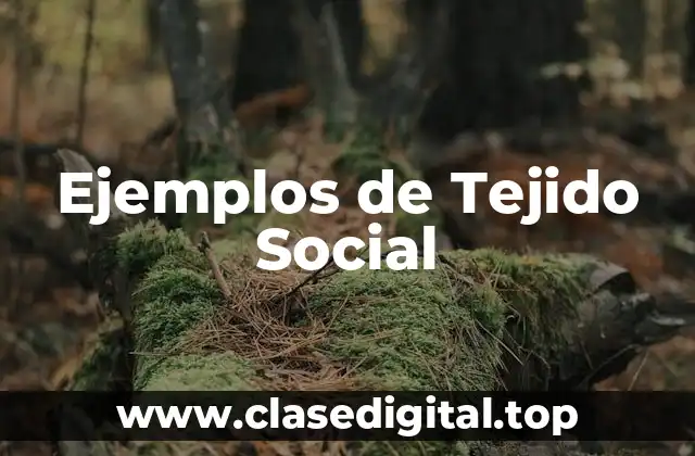 Ejemplos de Tejido Social