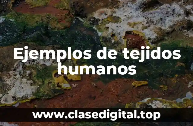 Ejemplos de tejidos humanos