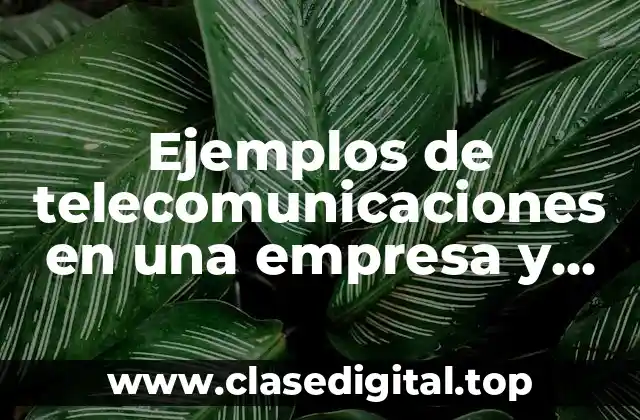 Ejemplos de telecomunicaciones en una empresa y Significado