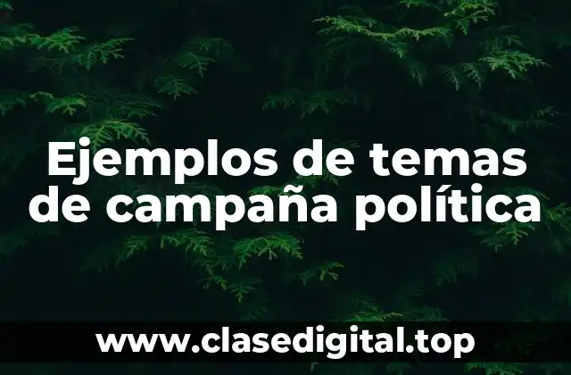 Ejemplos de temas de campaña política