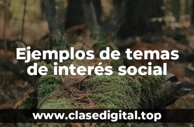 Ejemplos de temas de interés social