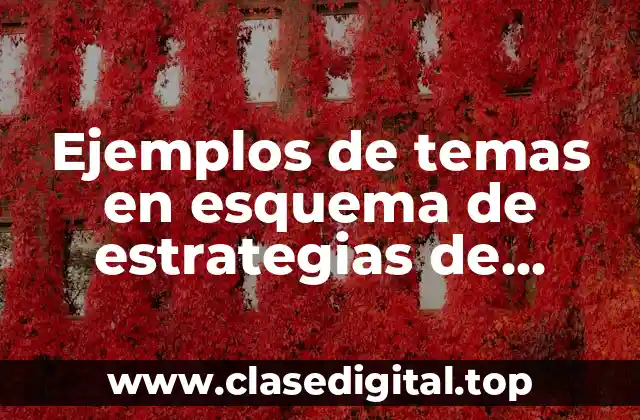 Ejemplos de temas en esquema de estrategias de preguntas guía