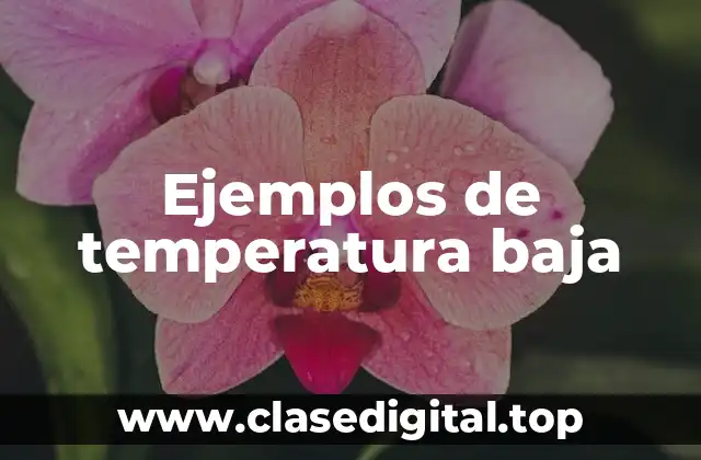 Ejemplos de temperatura baja