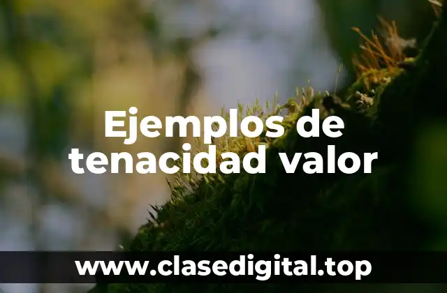 Ejemplos de tenacidad valor