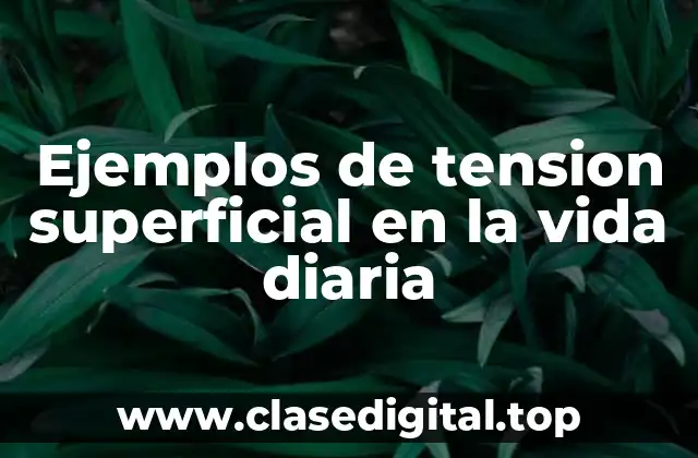 Ejemplos de tension superficial en la vida diaria