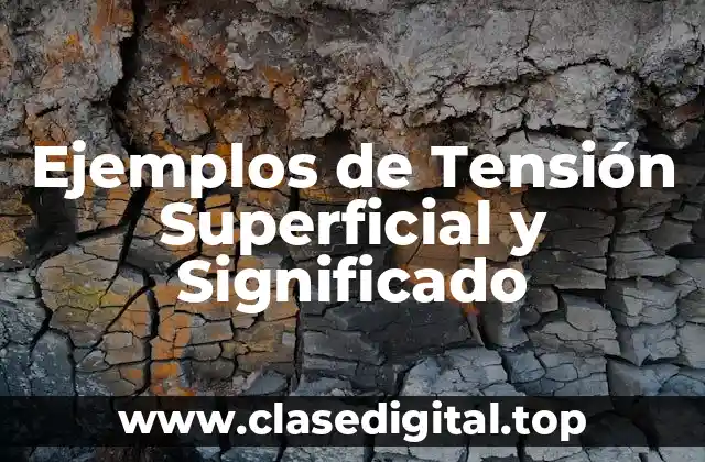 Ejemplos de Tensión Superficial y Significado