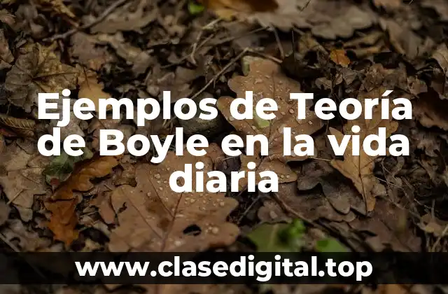 Ejemplos de Teoría de Boyle en la vida diaria