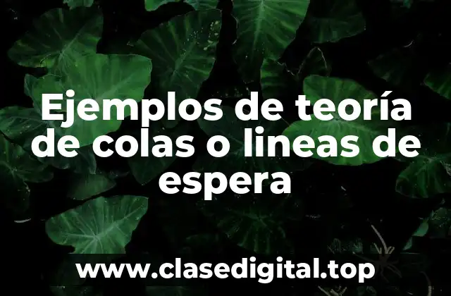 Ejemplos de teoría de colas o lineas de espera