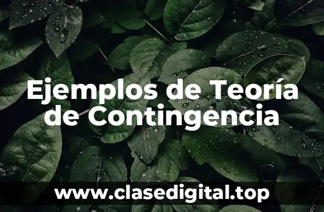 Ejemplos de Teoría de Contingencia