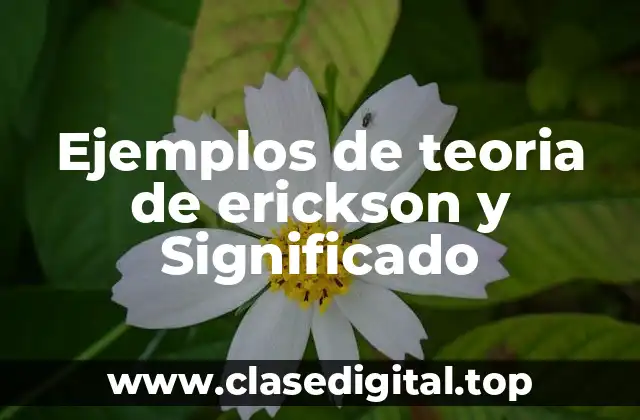 Ejemplos de teoria de erickson y Significado