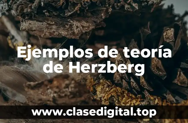 Ejemplos de teoría de Herzberg