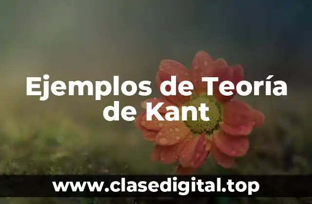 Ejemplos de Teoría de Kant