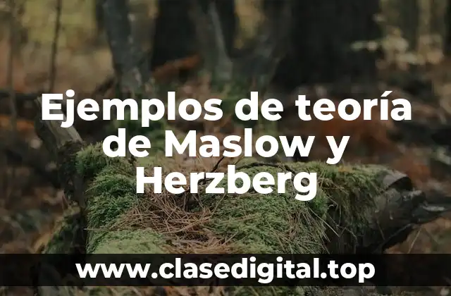 Ejemplos de teoría de Maslow y Herzberg
