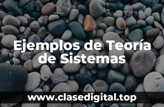 Ejemplos de Teoría de Sistemas