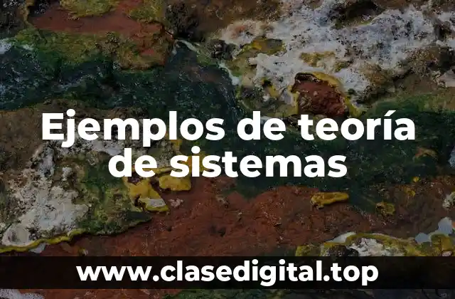 Ejemplos de teoría de sistemas