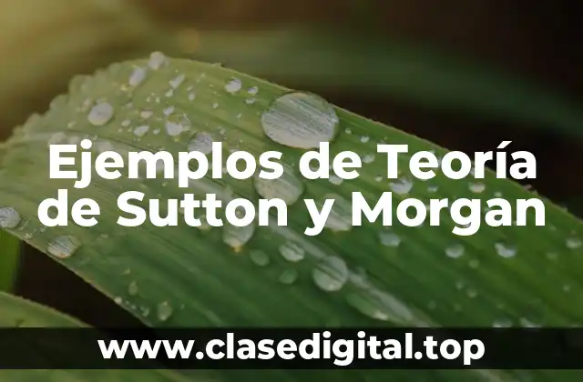 Ejemplos de la Teoría de Sutton y Morgan