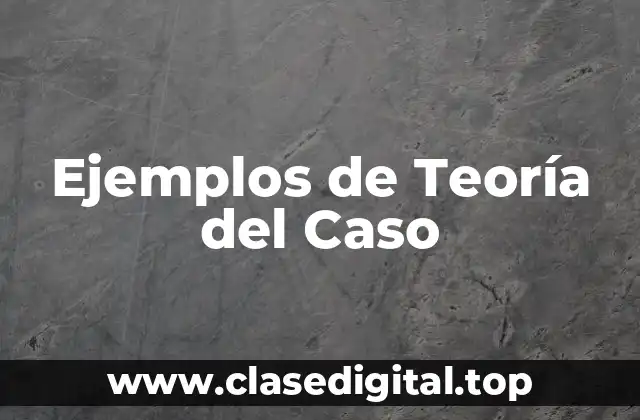 Ejemplos de Teoría del Caso