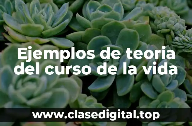 Ejemplos de teoria del curso de la vida