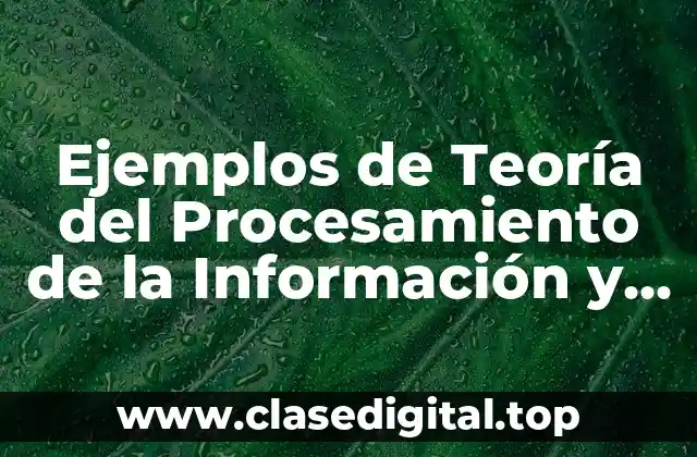 Ejemplos de Teoría del Procesamiento de la Información y Significado