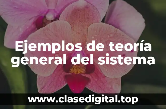 Ejemplos de teoría general del sistema