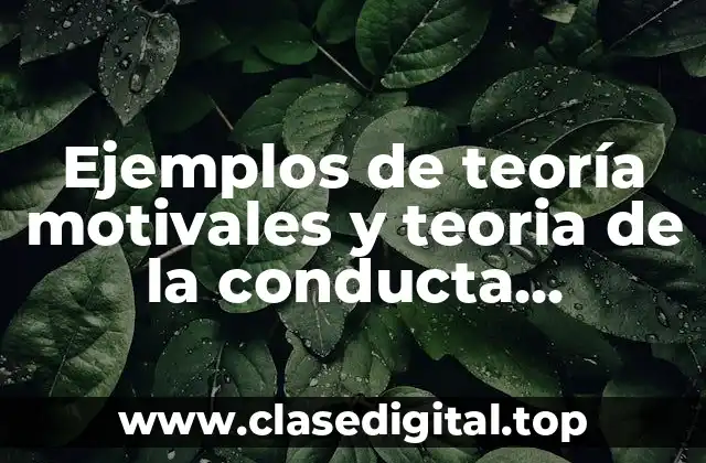 Ejemplos de teoría motivales y teoria de la conducta planificada y Significado