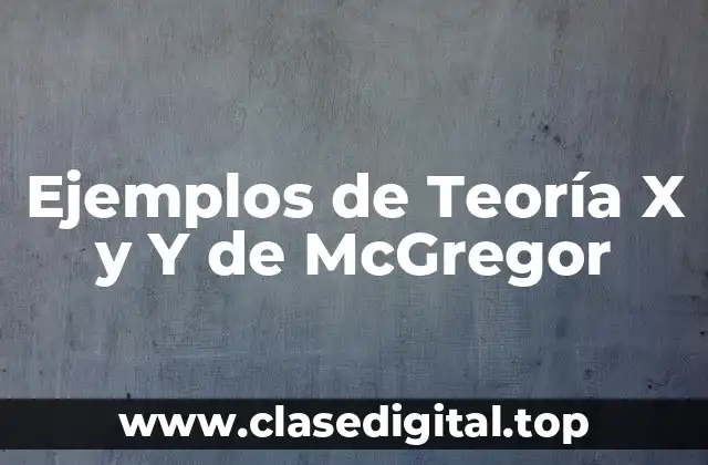 Ejemplos de Teoría X y Y de McGregor
