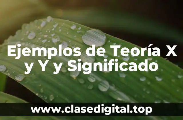 Ejemplos de Teoría X y Y y Significado