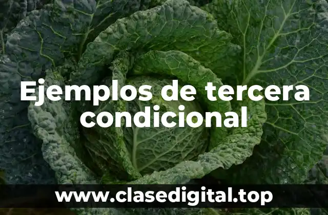 Ejemplos de tercera condicional