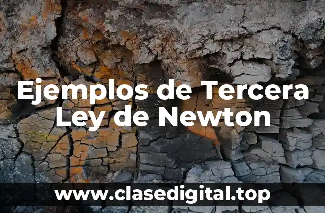 Ejemplos de Tercera Ley de Newton