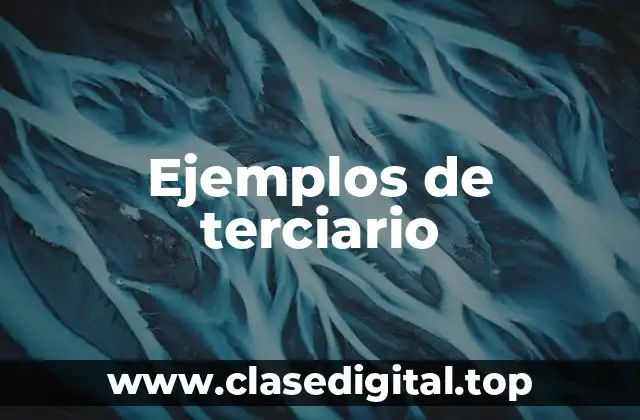 Ejemplos de terciario