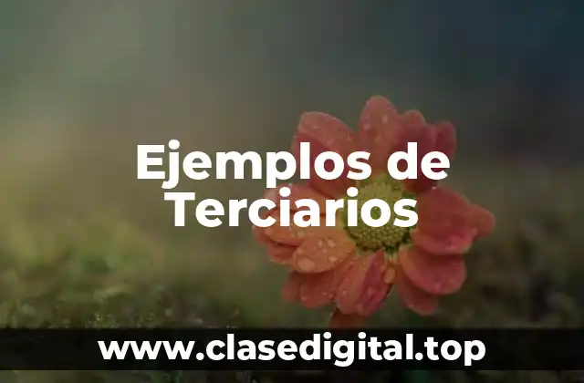 Ejemplos de Terciarios