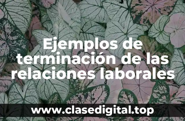 Ejemplos de terminación de las relaciones laborales