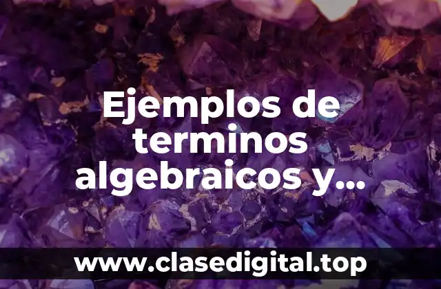 Ejemplos de terminos algebraicos y Significado