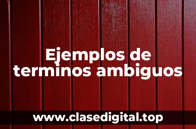 Ejemplos de terminos ambiguos