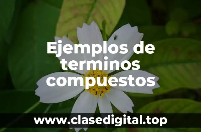 Ejemplos de terminos compuestos