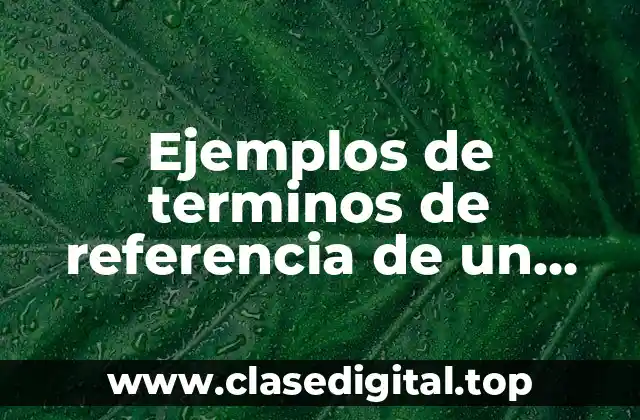 Ejemplos de terminos de referencia de un proyecto y Significado