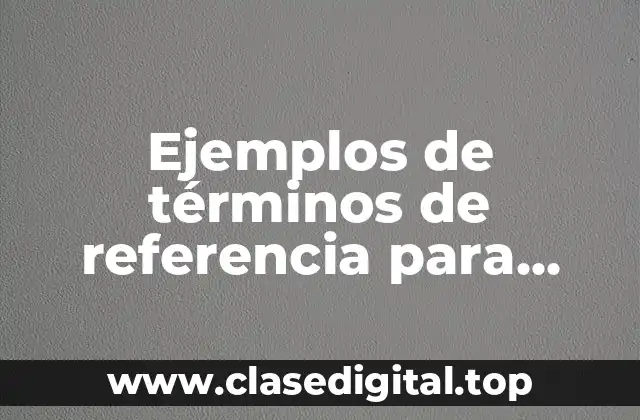 Ejemplos de términos de referencia para software y Significado