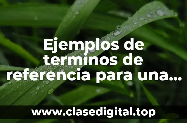 Ejemplos de terminos de referencia para una auditoria y Significado