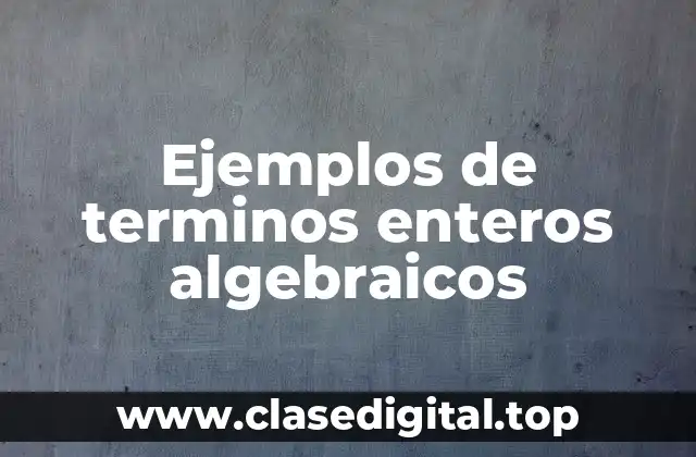 Ejemplos de terminos enteros algebraicos