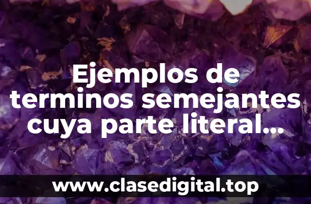 Ejemplos de terminos semejantes cuya parte literal tenga dos variables