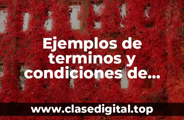 Ejemplos de terminos y condiciones de compra
