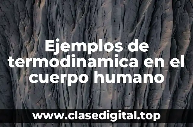Ejemplos de termodinamica en el cuerpo humano
