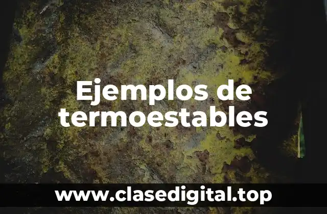 Ejemplos de termoestables